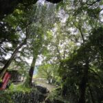 【駐車場に要注意！】裏見の滝で天狗の手形を見てきた。